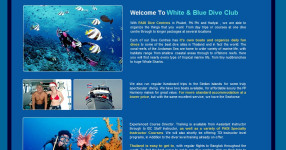 White & Blue Dive Club